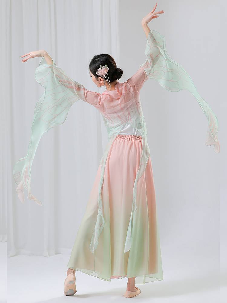 Classical Dance Performance Performance Gong Female Graduate Grand Rhyme Chinese Dance Flowing Performance Server Butterfly Dance Clothing