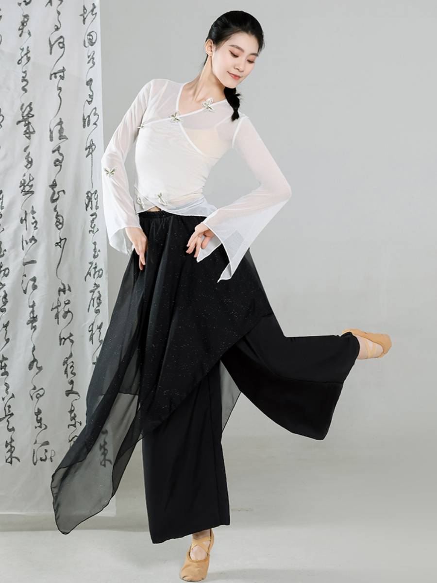 Classical dance clothing female butterfly net gauze rhyme rhyme admitted to the dress gauze Chinese national dance exercise body suit