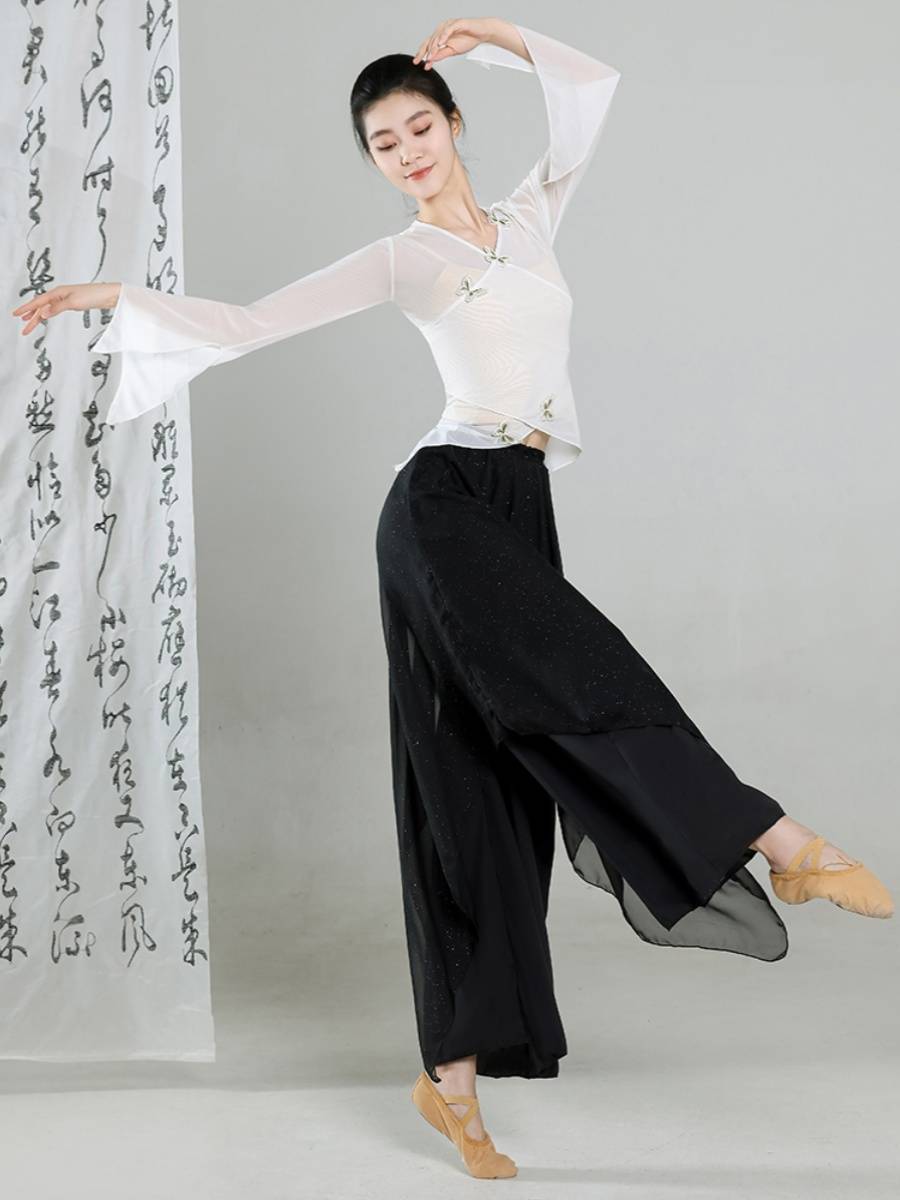 Classical dance clothing female butterfly net gauze rhyme rhyme admitted to the dress gauze Chinese national dance exercise body suit