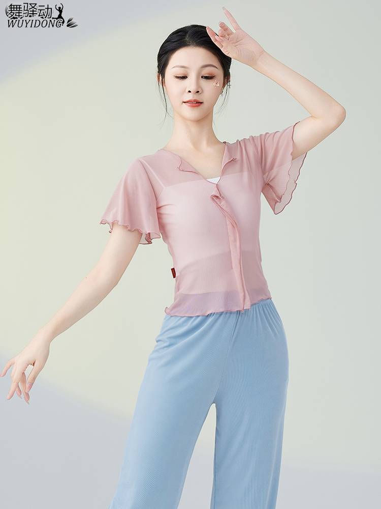 Classical dance clothing new fairy, elegant gauze, body rhyme, practice service Chinese dance performance, art test net yarn top