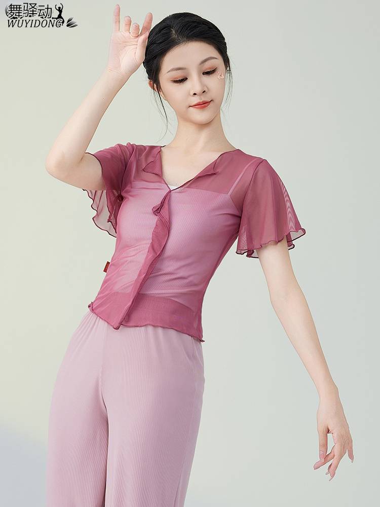 Classical dance clothing new fairy, elegant gauze, body rhyme, practice service Chinese dance performance, art test net yarn top