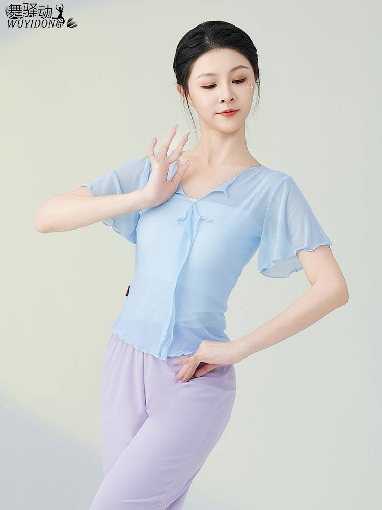 Classical dance clothing new fairy, elegant gauze, body rhyme, practice service Chinese dance performance, art test net yarn top