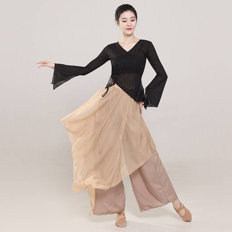 Classical Dance Network Saverya Jacket Butterfly Body Server Server Small Practice Gong Server Chinese Dance Performance Server Long Sleeve Tau