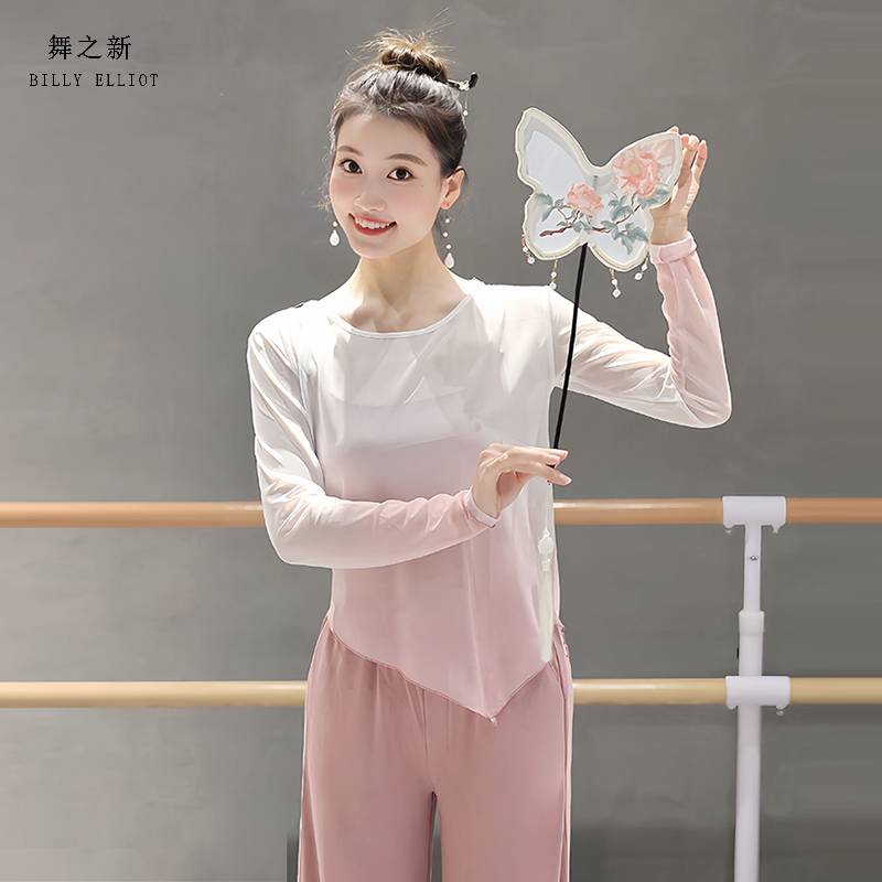 Classical Dance Dance Dressing Dress Autumn Gauze Fairy Ferry Chinese Dance Clothing Dance Dance Dance Practice Nets Top