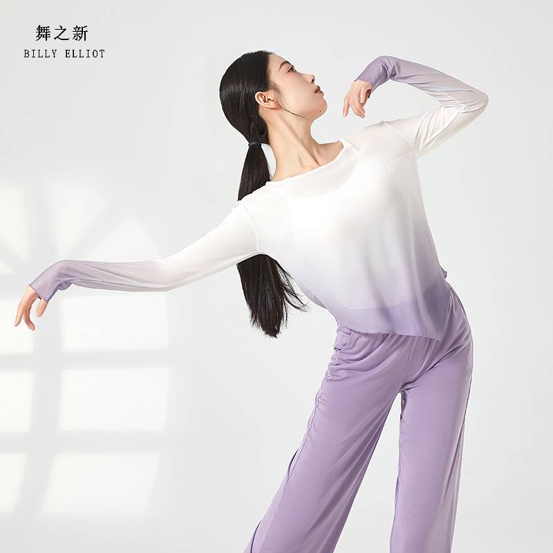 Classical Dance Dance Dressing Dress Autumn Gauze Fairy Ferry Chinese Dance Clothing Dance Dance Dance Practice Nets Top