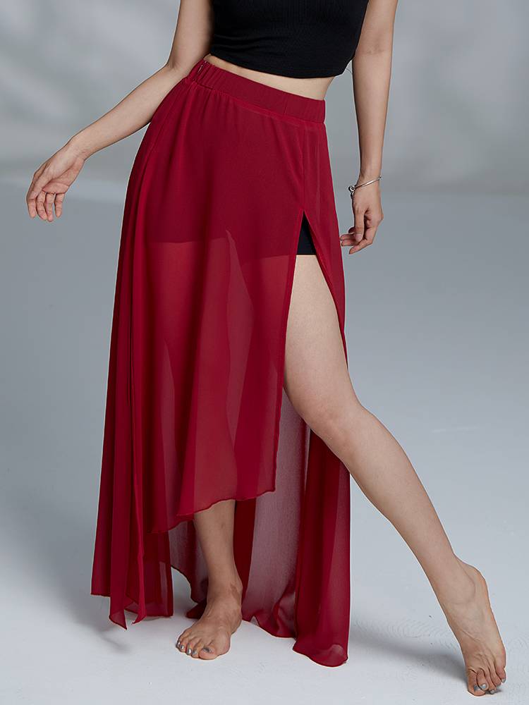 Gorgeous Solo Show Classical Dance Sedies Sneeper Skin Skirt Loose and Sely Dance Dance Series Slim Jazz Dance Practice Skirt