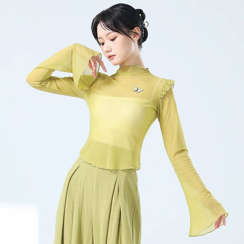 Modern dance exercise, female adult dance service art test, showing clothing Chinese dance classical dance repair net yarn top