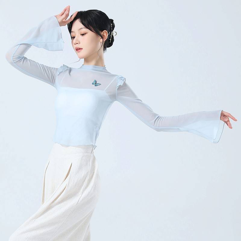 Modern dance exercise, female adult dance service art test, showing clothing Chinese dance classical dance repair net yarn top