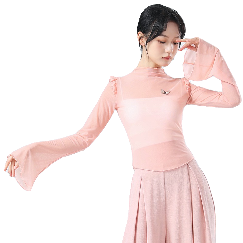 Modern dance exercise, female adult dance service art test, showing clothing Chinese dance classical dance repair net yarn top