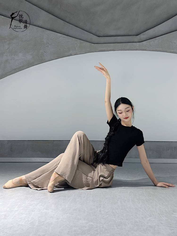 Modern dance top classical dance new body training clothing Chinese dance adult fashion dance practice service summer