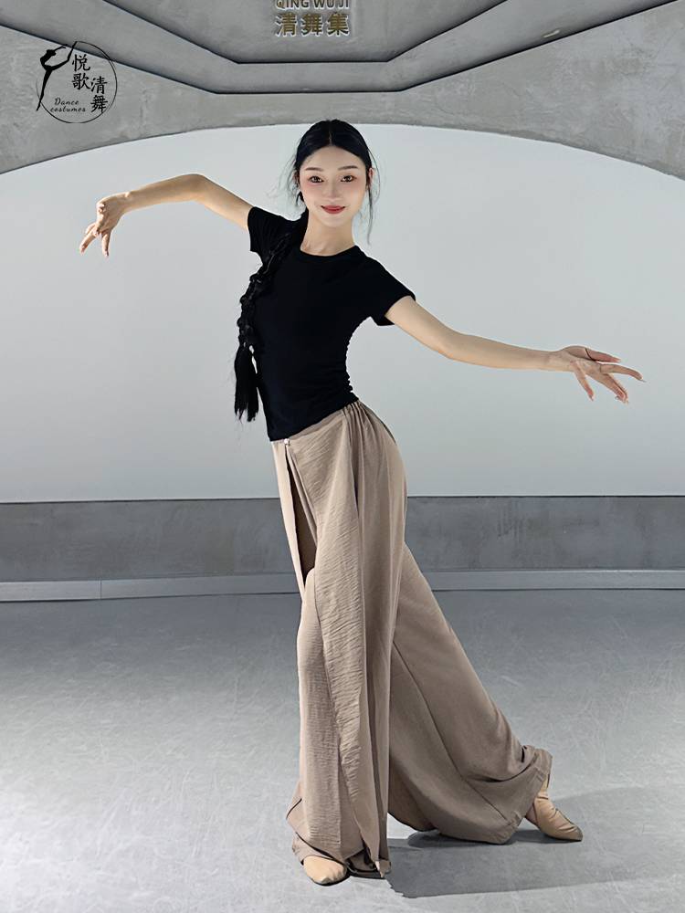 Modern dance top classical dance new body training clothing Chinese dance adult fashion dance practice service summer