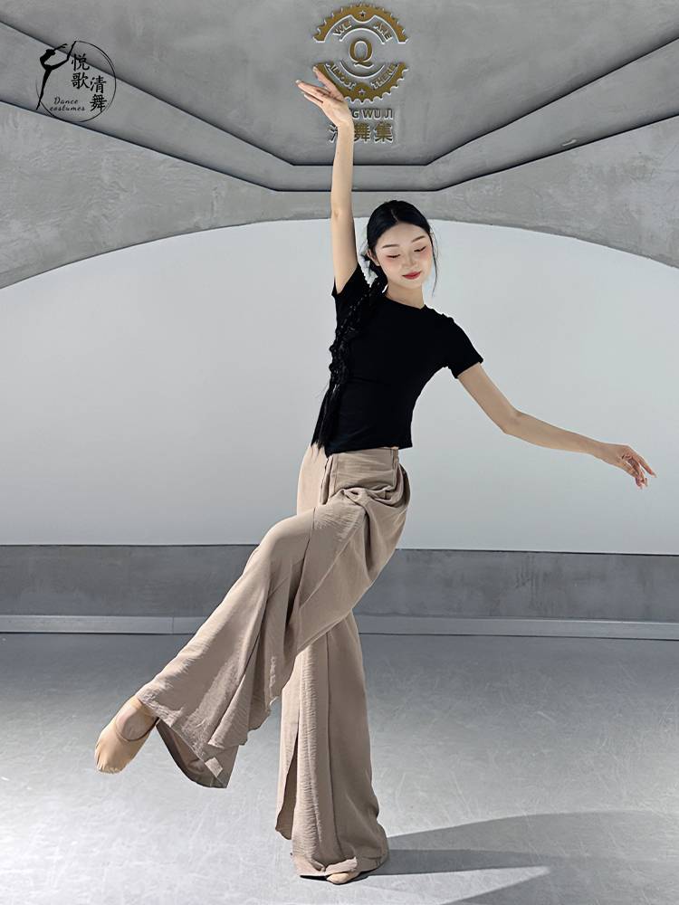 Modern dance top classical dance new body training clothing Chinese dance adult fashion dance practice service summer