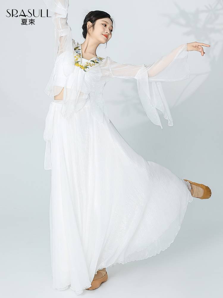 Xia Shu Classical Dance Female Female Permanent Gradient Gatey Gatey Fairy Fairy Chinese Nation Dance Black Salery and Tang Tang Performance Services