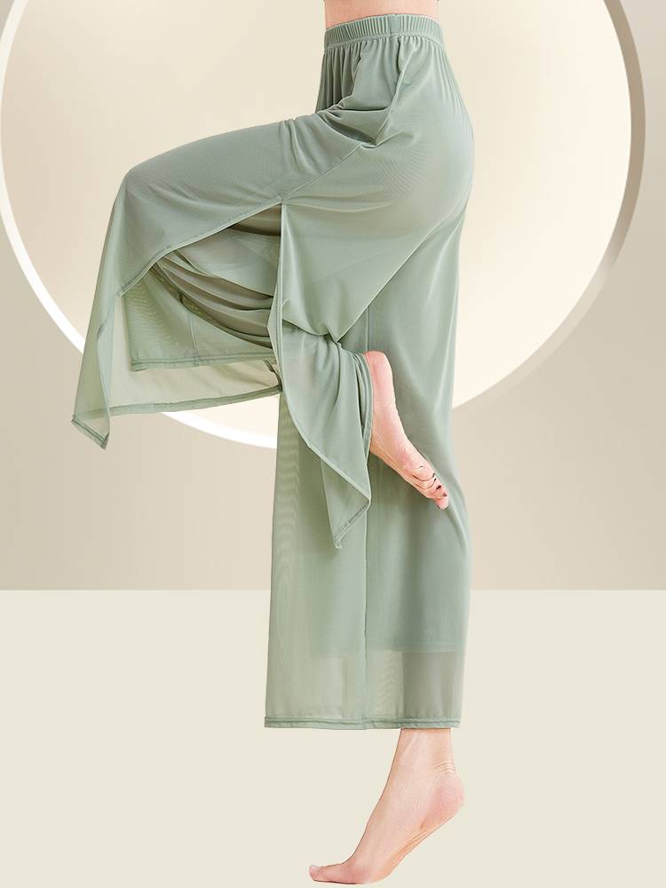 Classical dance clothing dance pants female loose straight pants thin net yarn black practice wide -leg pants modern dance pants