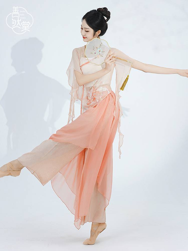 Shan Ran Hall of Summer New Classical Dance Practice Services Cloudy Female Chinese Dance Koi Fairy Gaunts Ancient Performance Services