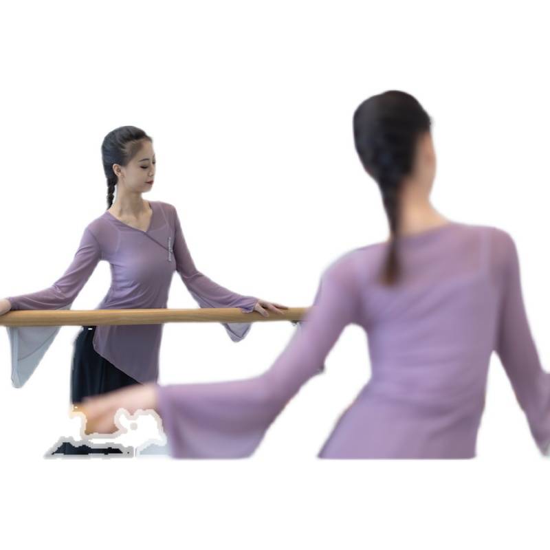 Classical dance yarn clothing horn sleeve practice service T national dance -shaped body set meets spring drama performances to serve Han Tang China
