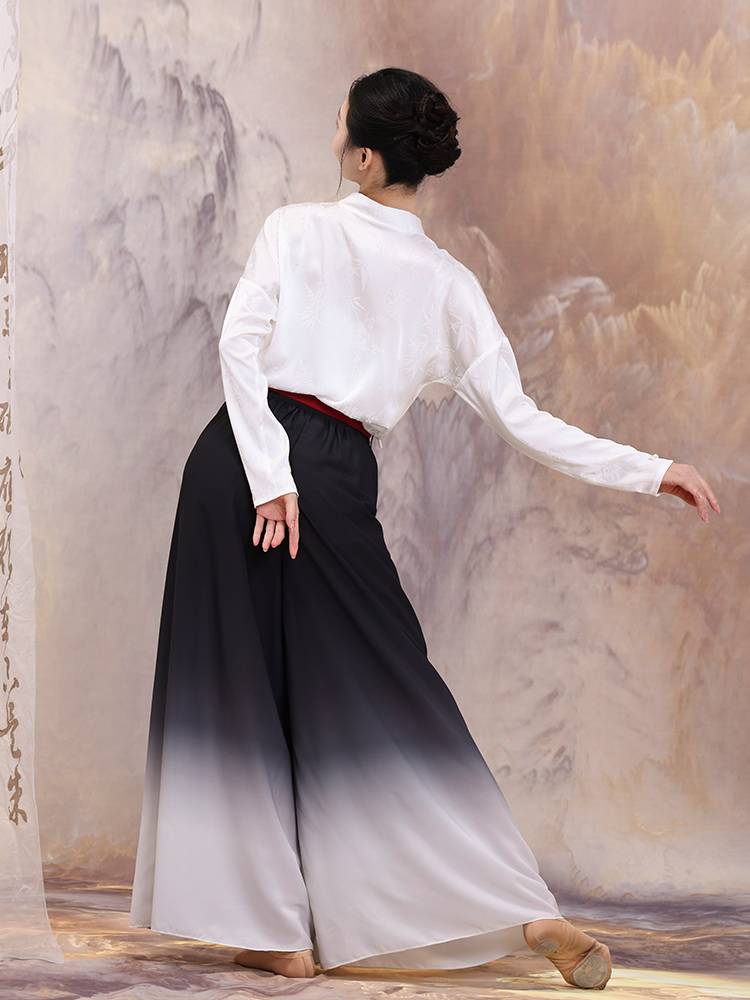 Xuangong Classical Dance Clothing Long Sleeve New Chinese White V -neck top Chinese style dance service performance service