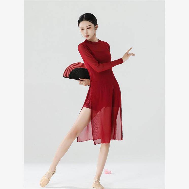 Modern Classical Dance Dance Dedicated Cheongsam Practice Dressing Series Rhyme Net Speed Dick Dance Dance Server Long Sleeve Yoga Cloth