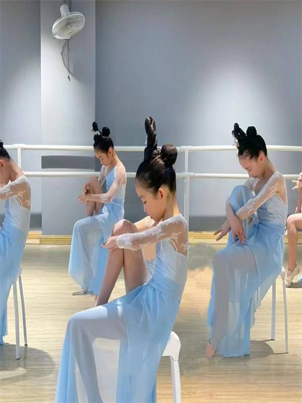 Spring March Classical Dance Body Rhymes Yaosong Clothing Permanent Practice and Dance Dance Series Purple Golden Morning Performance Series