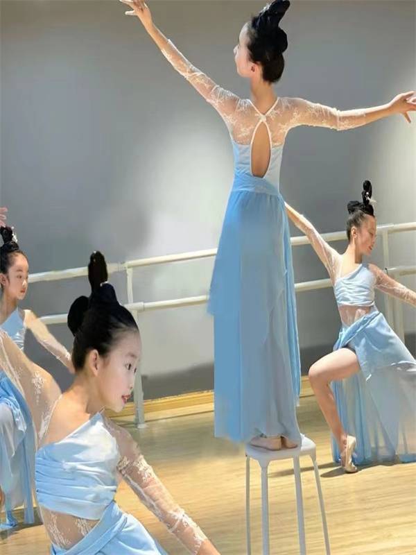 Spring March Classical Dance Body Rhymes Yaosong Clothing Permanent Practice and Dance Dance Series Purple Golden Morning Performance Series