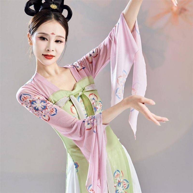 Hanfu Classical Dance Practice Female Loose Chinese Dance Modern National Dance Clothing Wide -leg Pants Performing Costumes