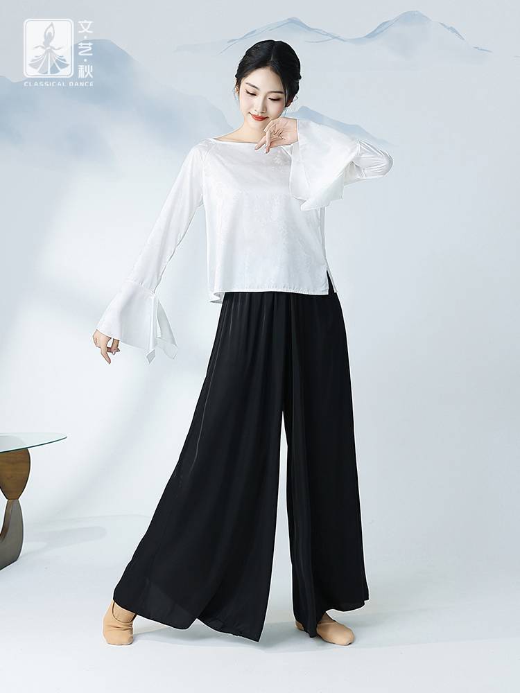 Spring and summer new modern dance loose long -sleeved chiffon blouse exercises, elegant Chinese dance classical dance service girl