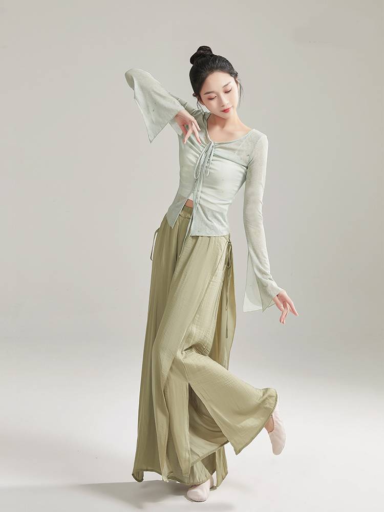The new dance service practice service female adult classical dance, the body rhyme, elegant gauze Chinese dance spring and summer performance service