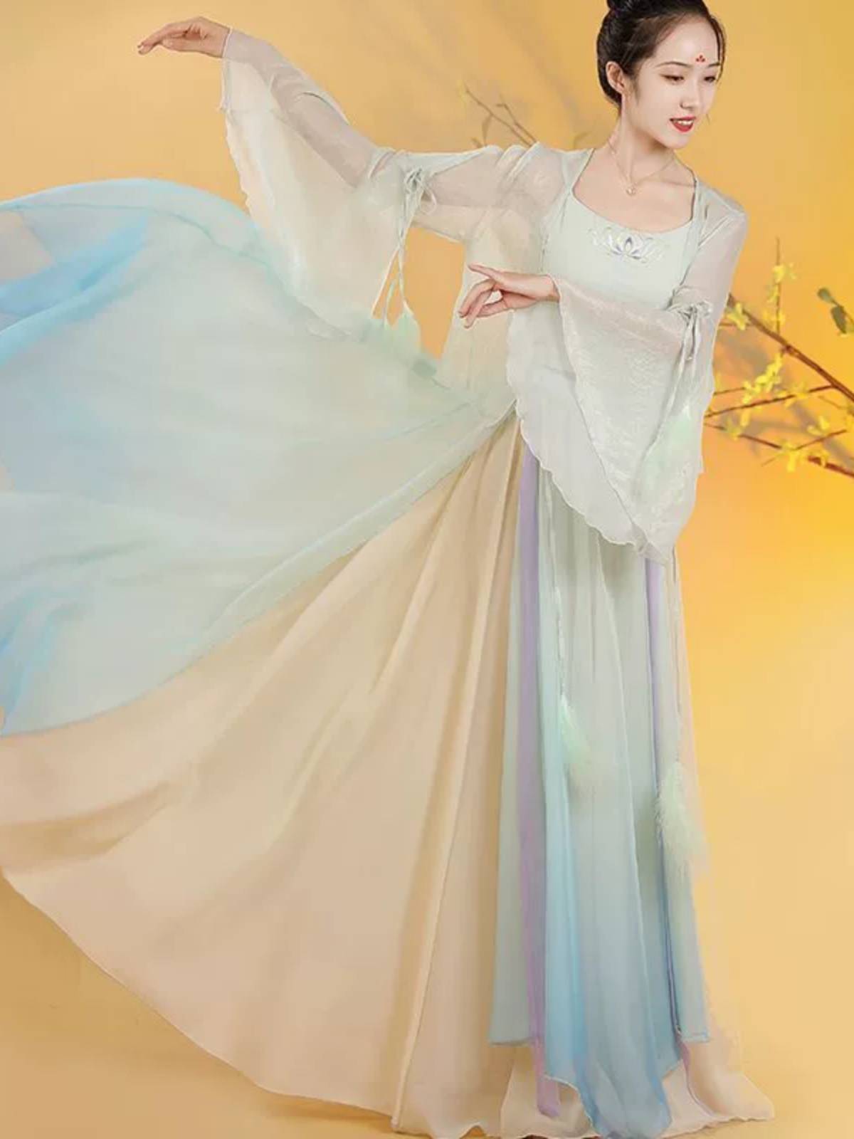 Renting dance clothing dress new Chinese dance exercise jacket top cardigan classical dance body rhyme gauze clothes gradient color