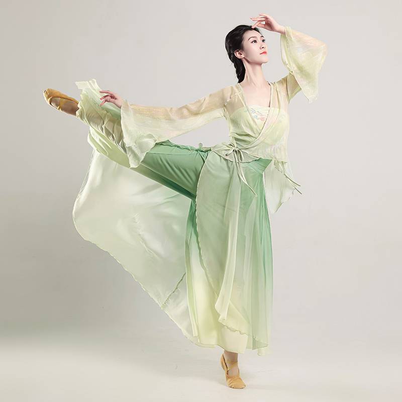 Classical dance clothing professional practice service national style elegance and elegant gauze Chinese dance performance table acting test clothing