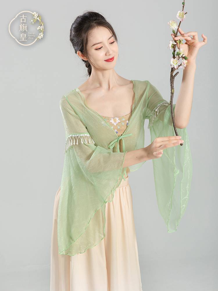Ancient Banner Emperor Classical Dance Practice National Dance National Dance Gradm -changing Watch Drives Loose Naoka Chiffon Wide Pants