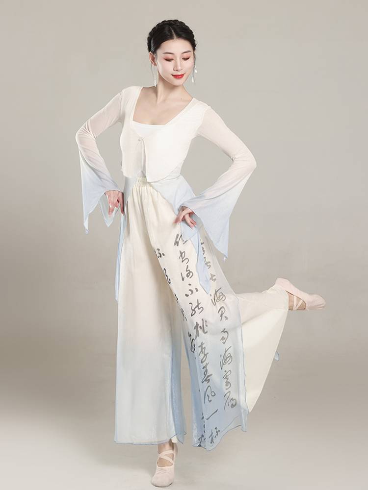 Classical dance dance clothing ladies, rhyme gradient net gauze clothes practice clothes Chinese dance elegant performance clothing suite