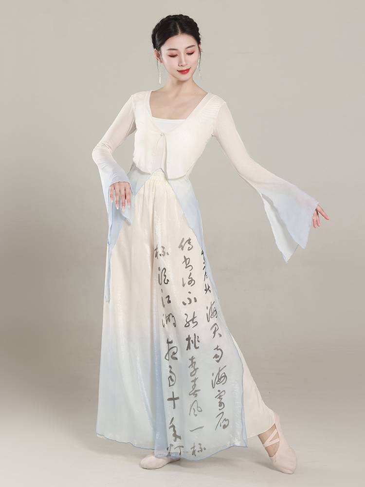 Classical dance dance clothing ladies, rhyme gradient net gauze clothes practice clothes Chinese dance elegant performance clothing suite