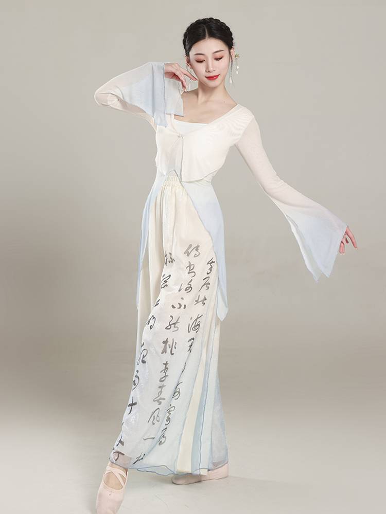 Classical dance dance clothing ladies, rhyme gradient net gauze clothes practice clothes Chinese dance elegant performance clothing suite
