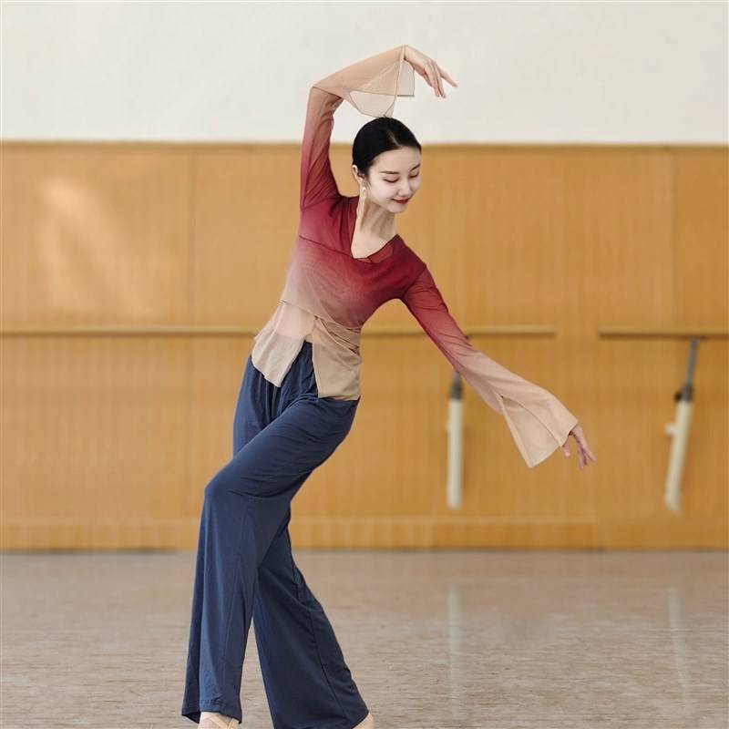 Spot Classical Dance Graduation Grand Rhymes Dressing Female Women B Chinese Dance National Dance Modern Dance Clothing Top