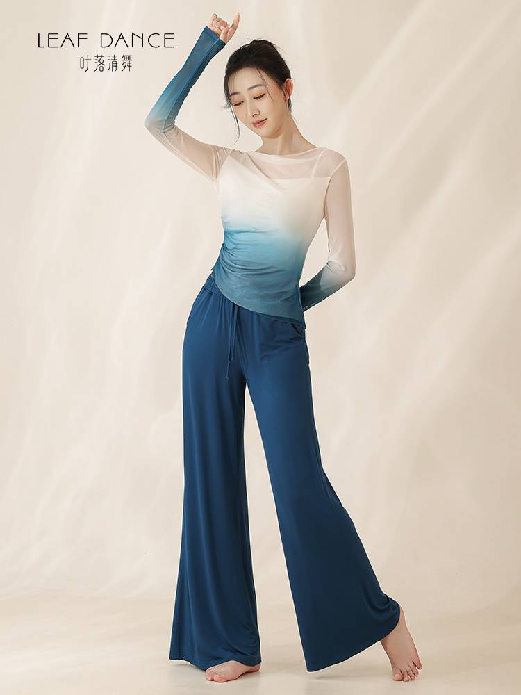 Ye Luo Qing Dance Classical Dance Series Rhymes Gradient Long -sleeved Jacket Chinese Dance Girl Modern Dance Practice Form Switching