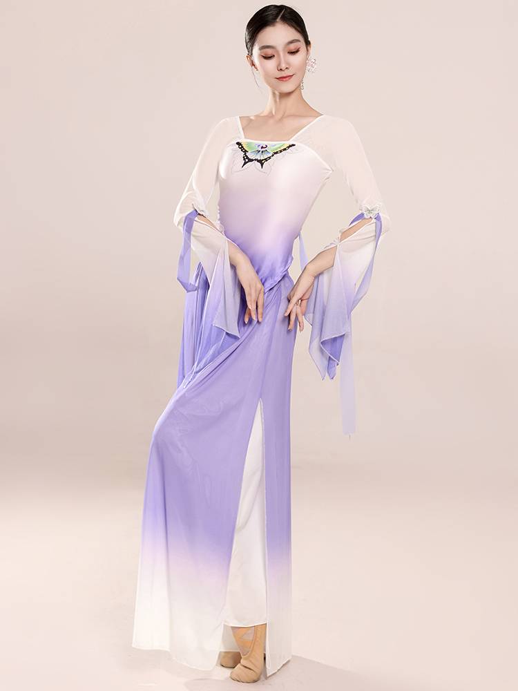Classical Dance Clothing Gradient Drivers Butterfly Fairy Fairy Top Top Top Rhyme Server Chinese Dance Dance Spring and Autumn Fold