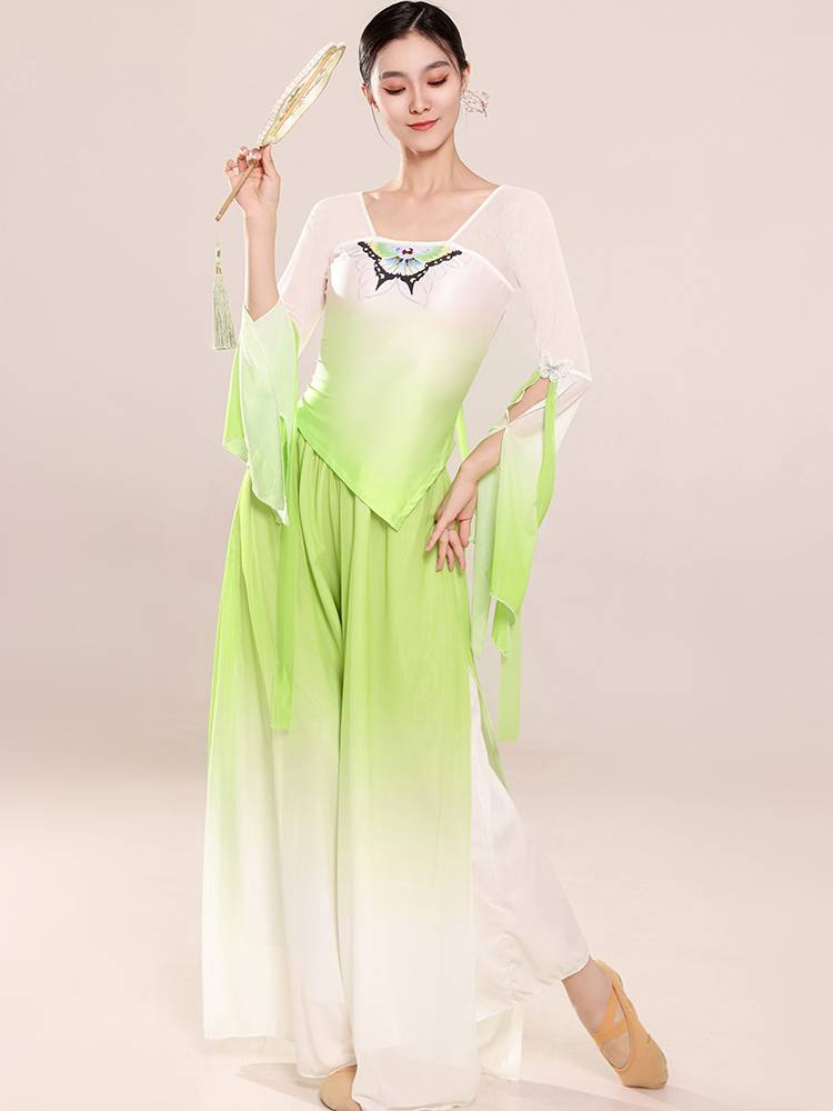 Classical Dance Clothing Gradient Drivers Butterfly Fairy Fairy Top Top Top Rhyme Server Chinese Dance Dance Spring and Autumn Fold