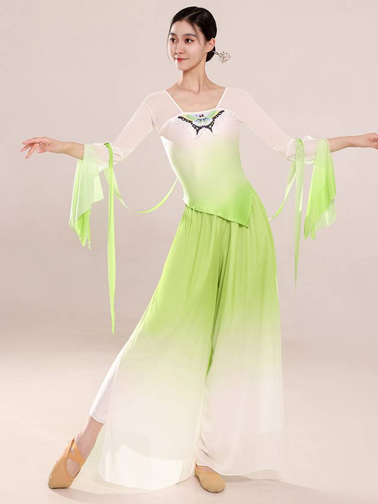 Classical Dance Clothing Gradient Drivers Butterfly Fairy Fairy Top Top Top Rhyme Server Chinese Dance Dance Spring and Autumn Fold