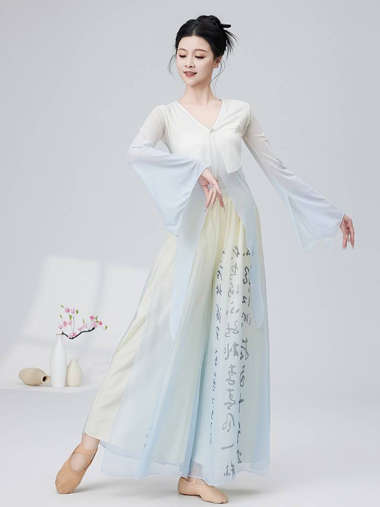 2024 Classical Dance Clothing Gradient Net Eyes and Endless Rhymes Dance Dance Chinese Dance Flowing Performance Dance Server Women
