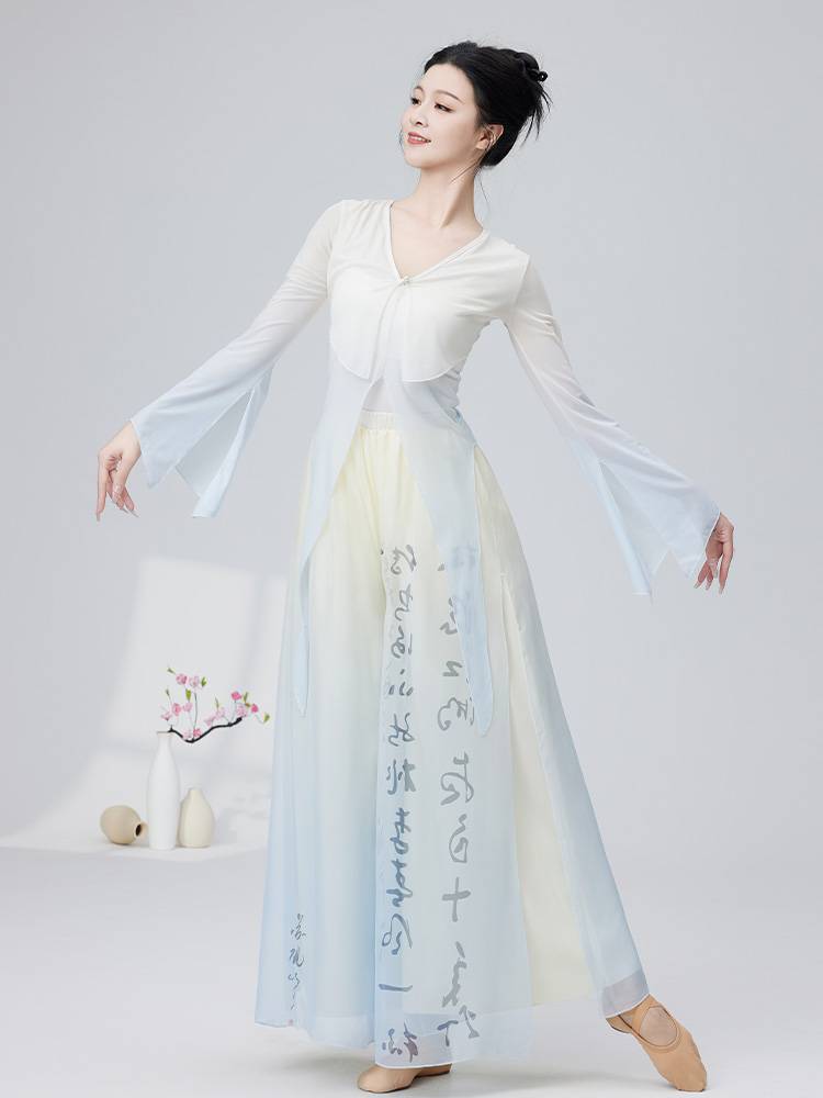 2024 Classical Dance Clothing Gradient Net Eyes and Endless Rhymes Dance Dance Chinese Dance Flowing Performance Dance Server Women