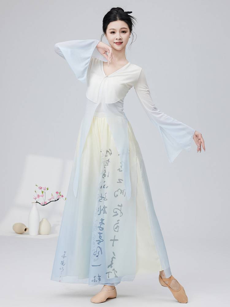 2024 Classical Dance Clothing Gradient Net Eyes and Endless Rhymes Dance Dance Chinese Dance Flowing Performance Dance Server Women