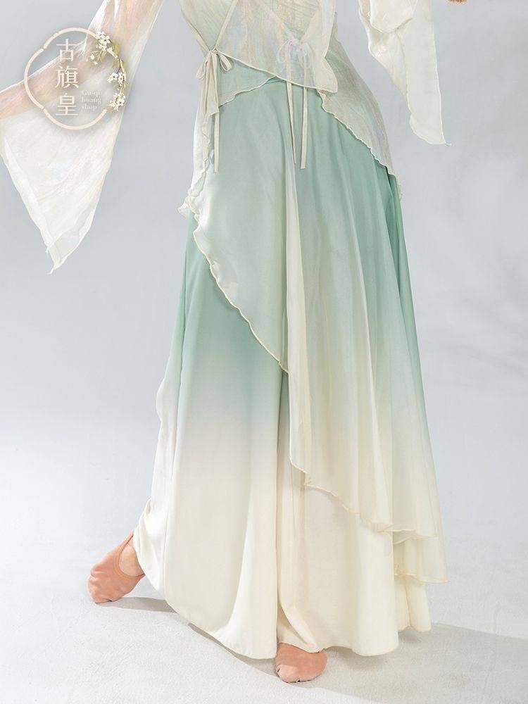 Renting classical dance gauze, practice clothes, wide -leg pants, fairy, elegant female Chinese dance clothing art test show, showing clothing