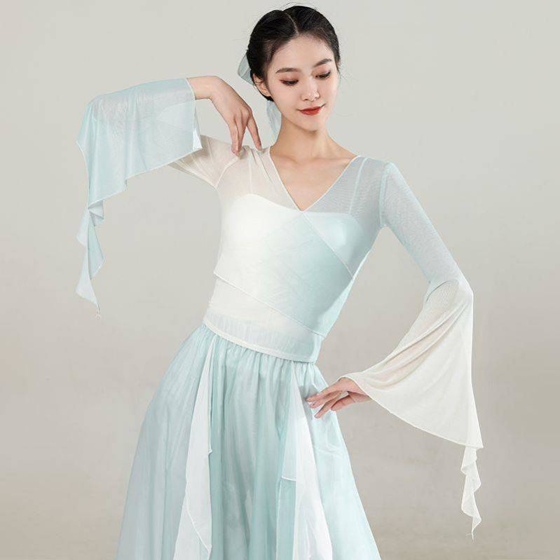 Net Red Apocked Classical Dance Dance Clothes Gradient Nets Towers Petal Pet Package Set Chinese Dance Ferry Fairy Qi Art Examination
