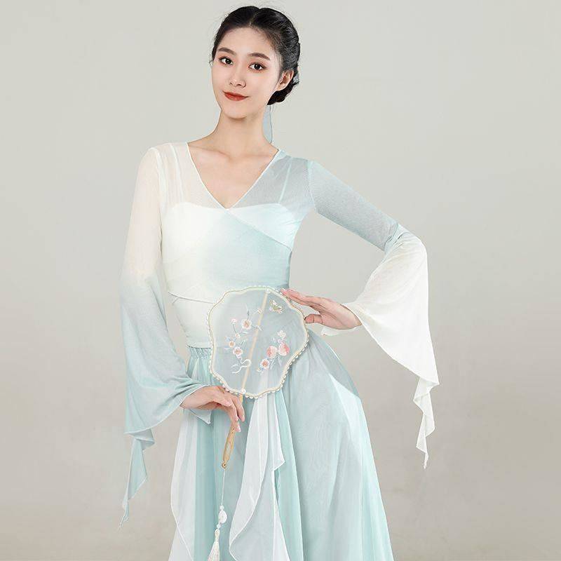 Net Red Apocked Classical Dance Dance Clothes Gradient Nets Towers Petal Pet Package Set Chinese Dance Ferry Fairy Qi Art Examination