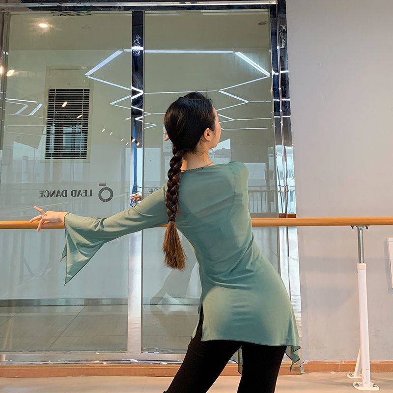 Classical Dance Dance Fun Dressing Delivery Switching Guifeng Chinese Dance Dance Skin Skin Sports Modern Dance Performance Clothing