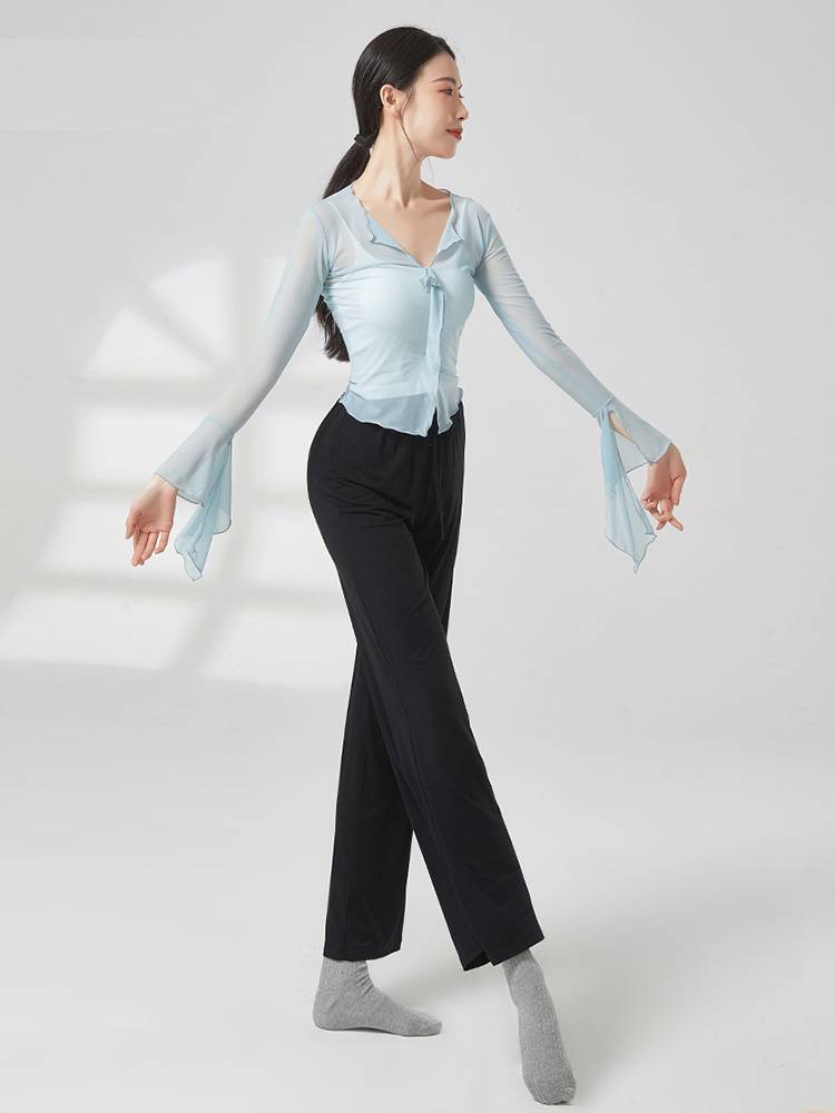 Classical Dance Dance Funny Dressing Dress Giney Survey Female Adult Chinese Dance Clothing Body Charm Founded Training Service Nets Dance Dress Dress