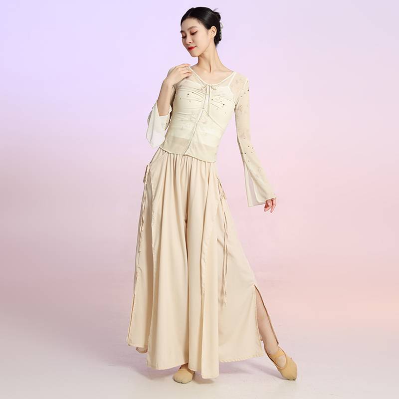 Classical dance clothing female elegant new fairy -qi body rhyme gauze Chinese dance exercise dance dance suit performance suit