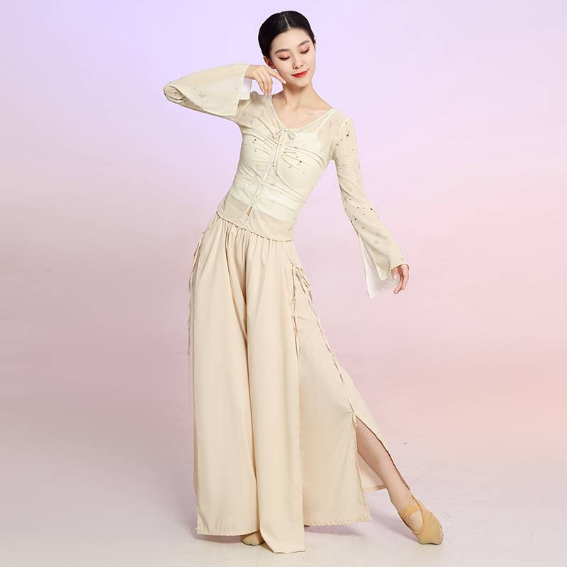 Classical dance clothing female elegant new fairy -qi body rhyme gauze Chinese dance exercise dance dance suit performance suit