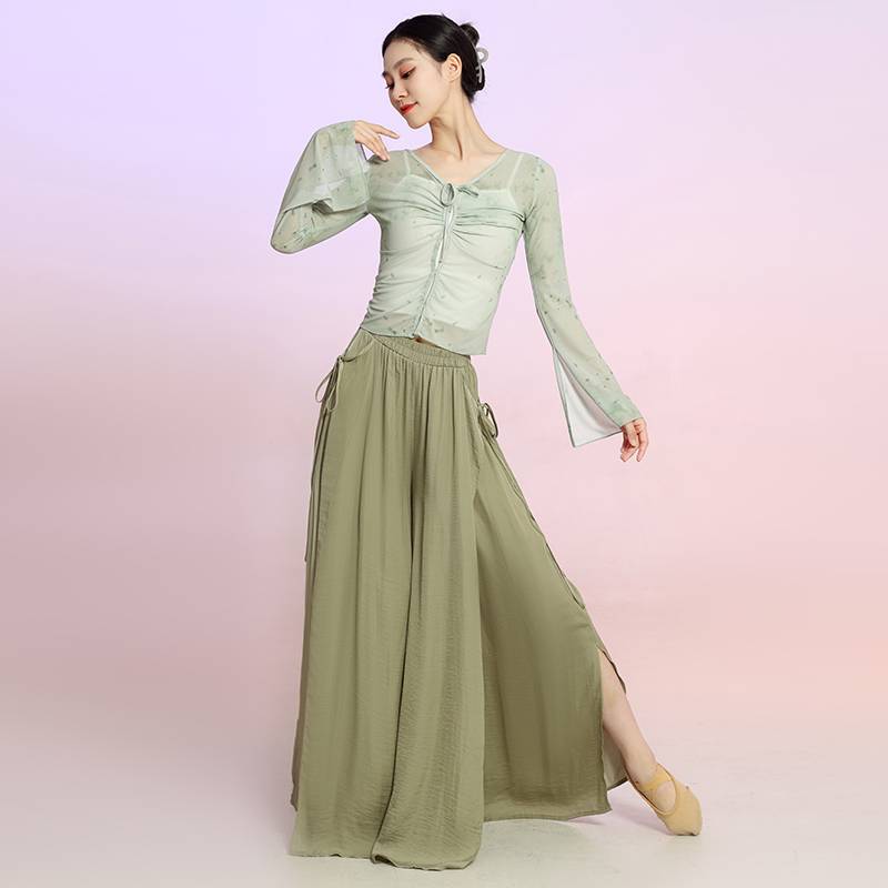 Classical dance clothing female elegant new fairy -qi body rhyme gauze Chinese dance exercise dance dance suit performance suit
