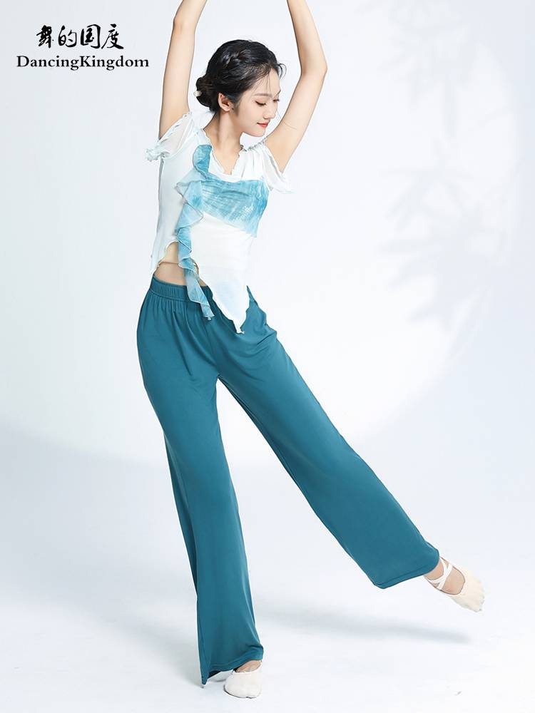 Dance of the national classical gauze dance clothes, elegant practice service, female Chinese dance adult shirt body rhyme show performance